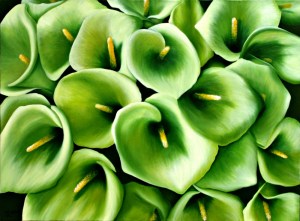 oil on canvas with callas