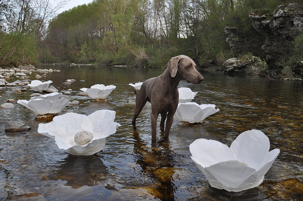 FLOWerING RIVER 5sito